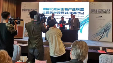K8·凯发科技与德国KanMedIm推进腹部微创手术AI导航的研发合作