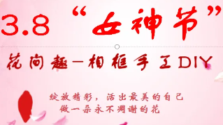 逐梦花影，绽放光彩，女神节快乐！