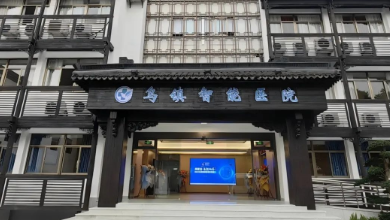 医疗AI科技如何助力公立医院改革与高质量发展？